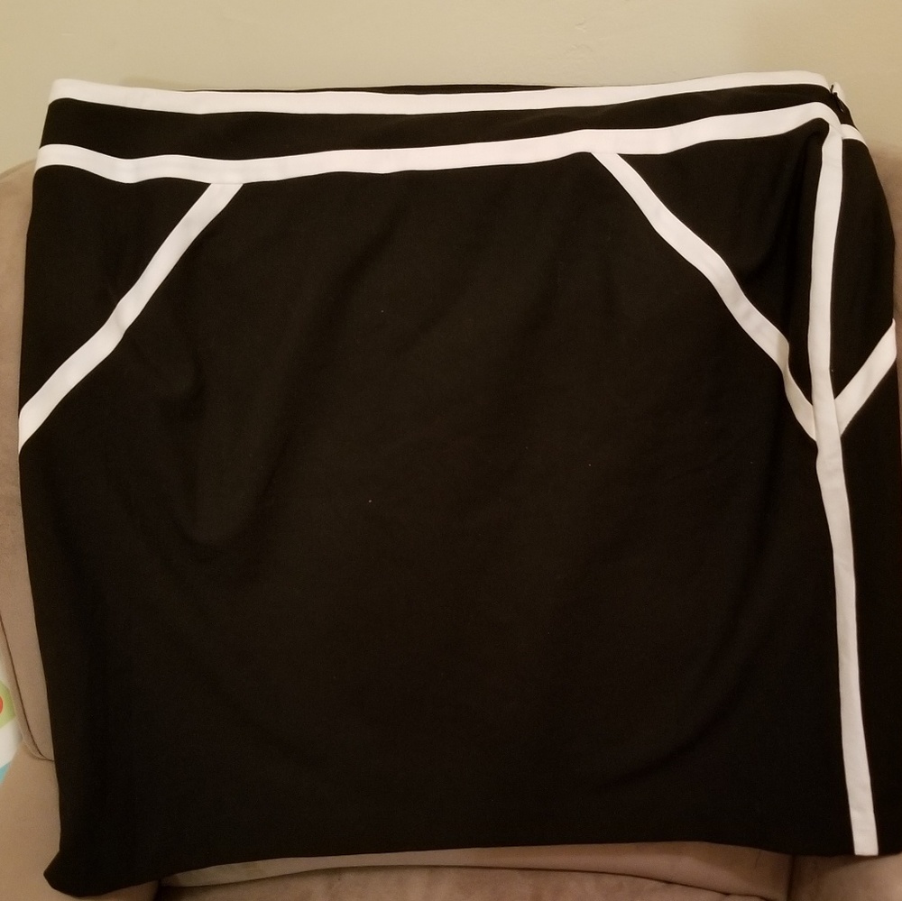 Dress or Work Skirt